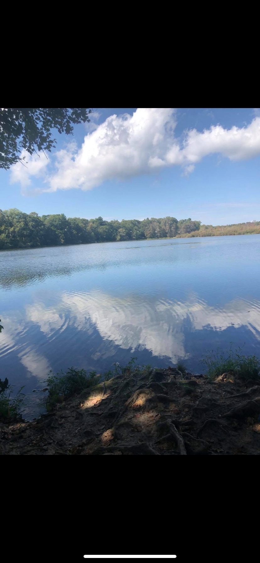 Building Photo - 16 Landsberger St