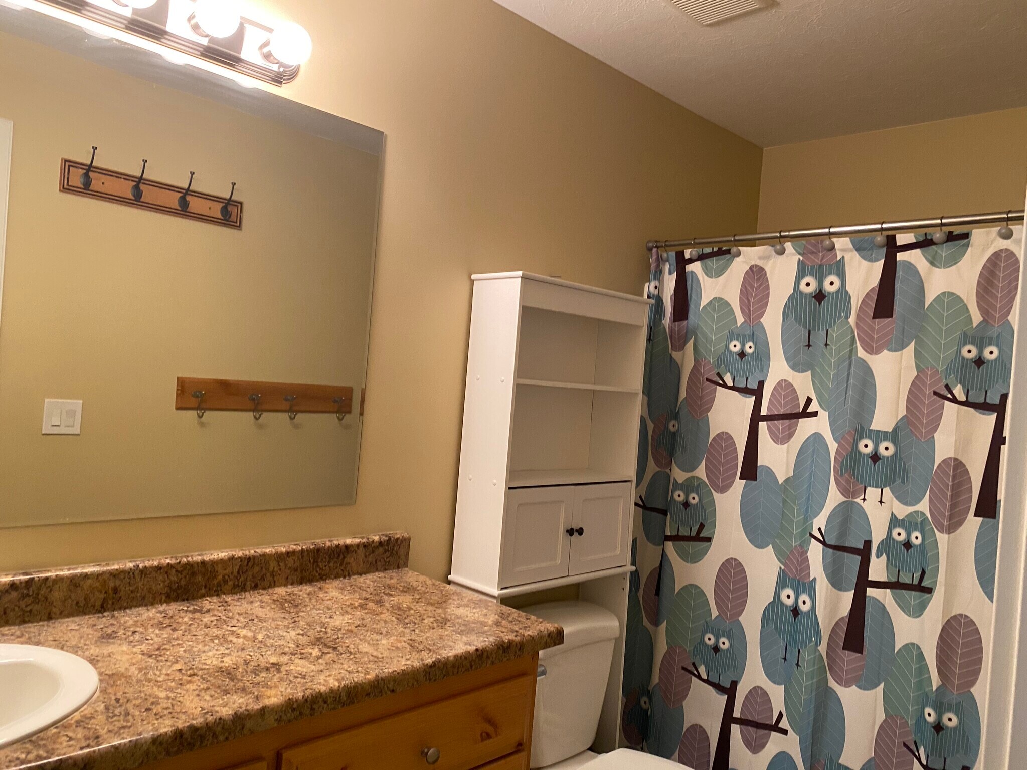 Full Bath - 1255 W 2350 S