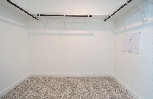 Building Photo - 8707 Shumard Oak Dr