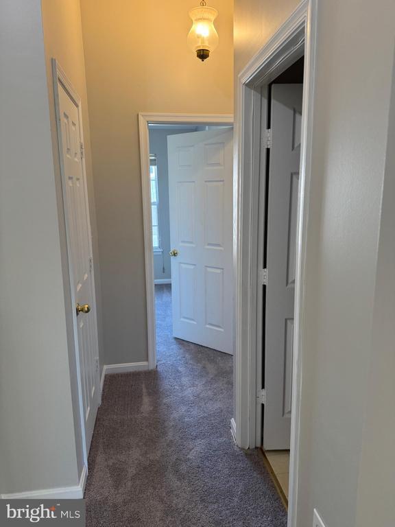 Building Photo - 113 Pinecove Ct