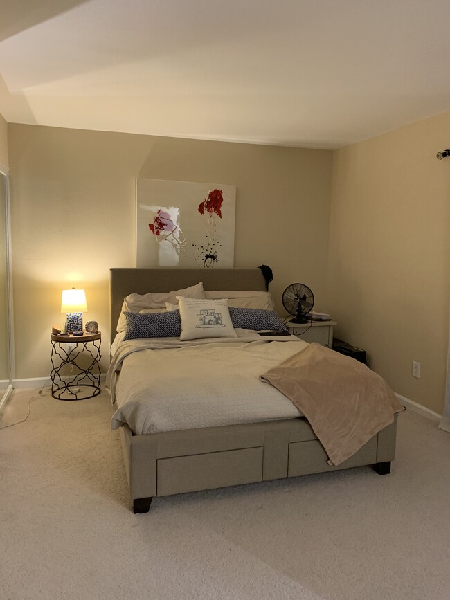 Master bedroom, walk in closet not pictured. - 12967 Cree Ct