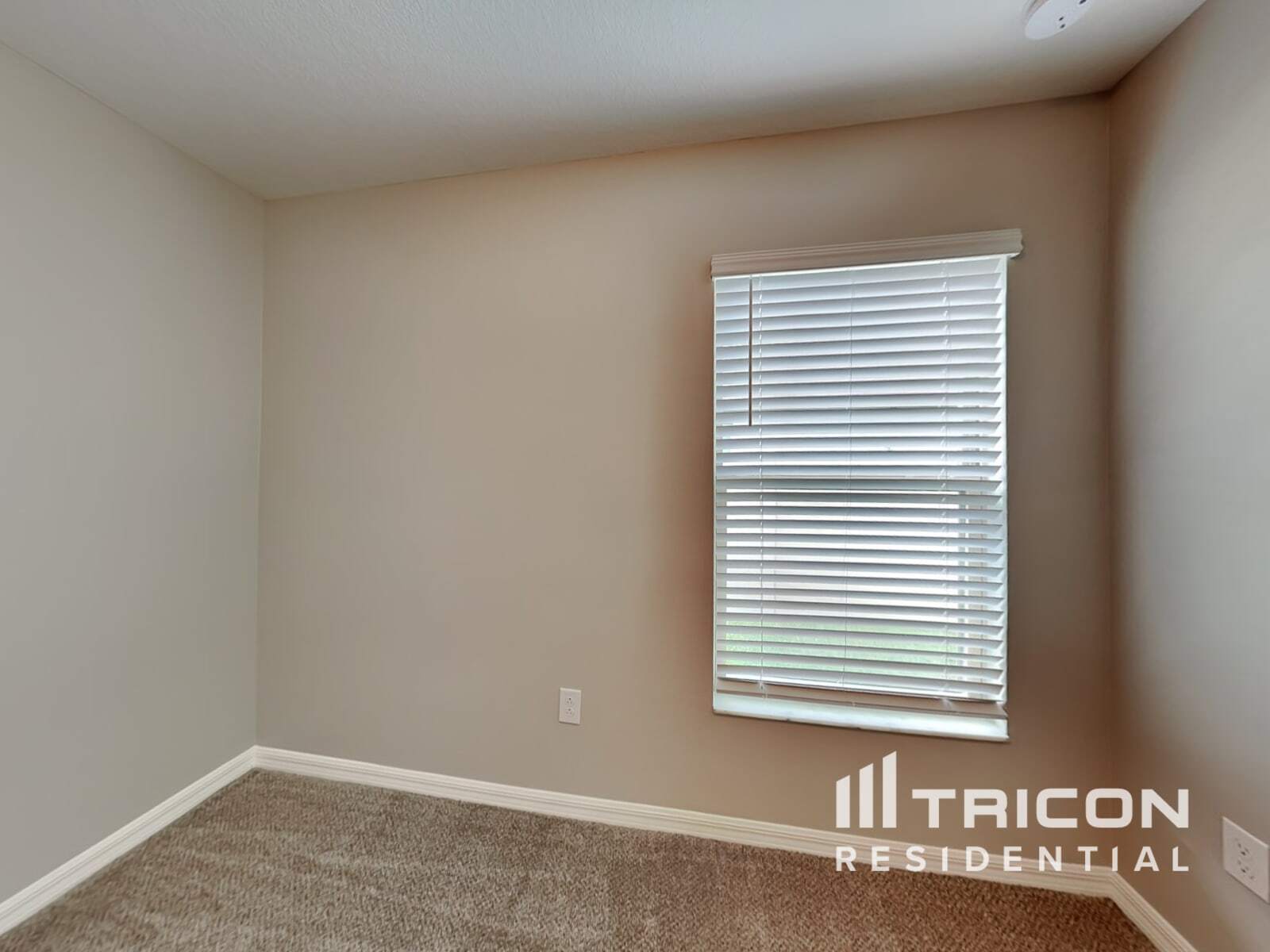 Building Photo - 4128 Salt Springs Ln