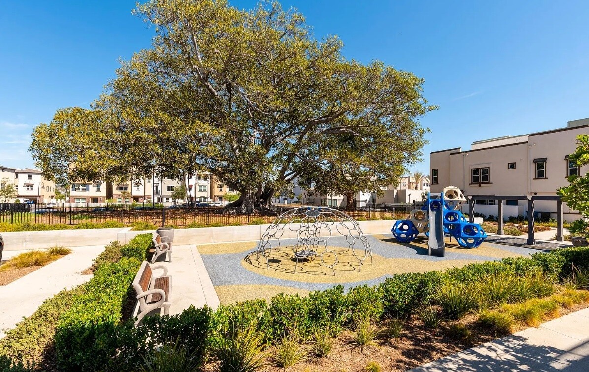 Children's park and a 100 year old fig tree preserved from the original estate - 577 Daniel Freeman Cir