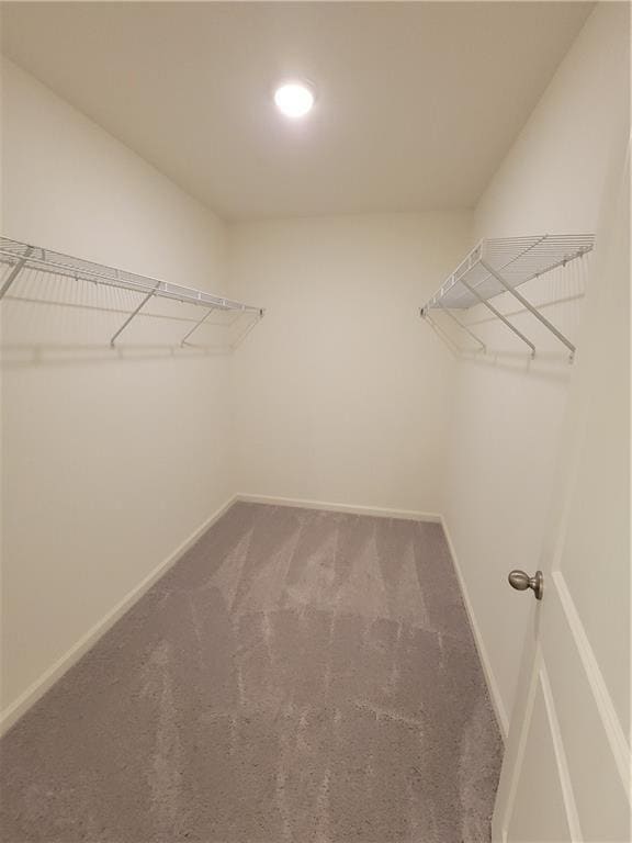 Building Photo - 209 Swindon Dr