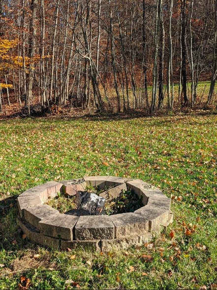 Shared fire pit - 23 Rexford St