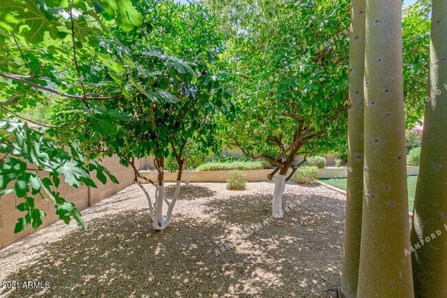 Building Photo - PINNACLE HILL RENTAL WITH MTN VIEWS, FIREP...