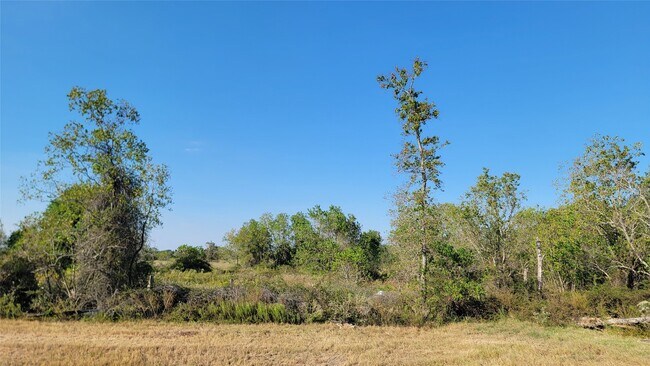 Building Photo - 27634 Spearmint Ridge Dr