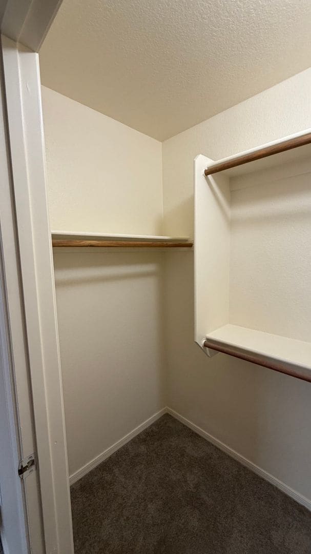 Building Photo - Freshly Painted 3 bedroom/2 bathroom Peoria Home!