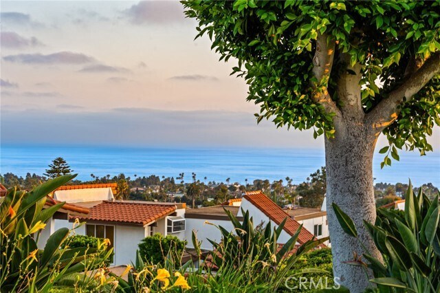 Building Photo - 3736 Calle Casino