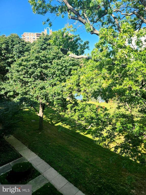 Building Photo - 10320 ROCKVILLE PIK