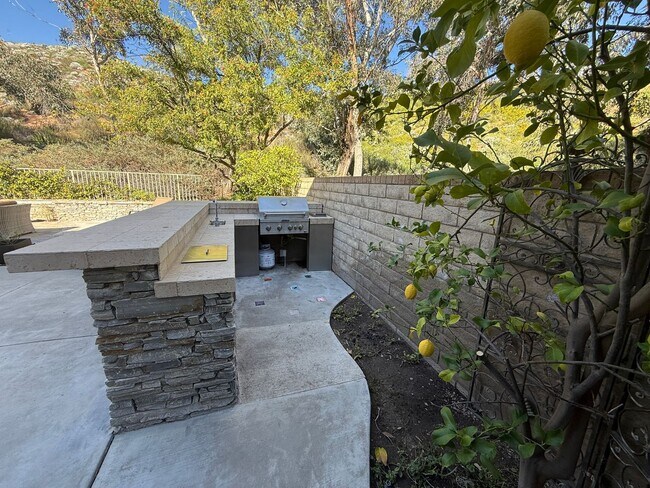 Building Photo - Spacious 4-Bedroom Home with Solar and Luxury Amenities in Northpark!