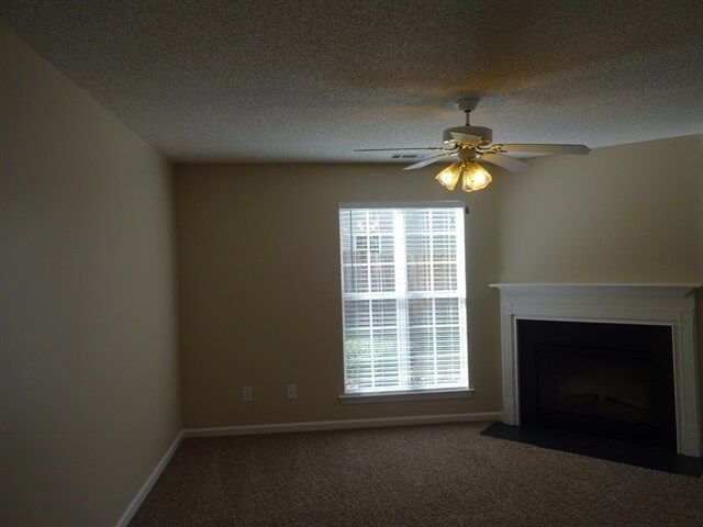 Building Photo - 4020 Angels Dr