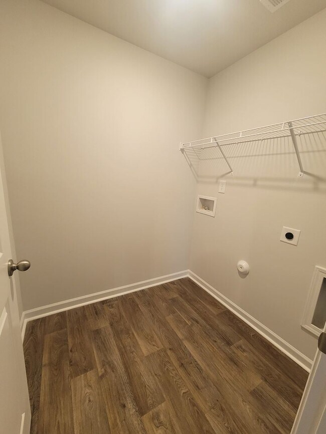 Building Photo - Welcome to our brand new 4-bedroom, 2-bathroom home located in the charming community of Castle H...