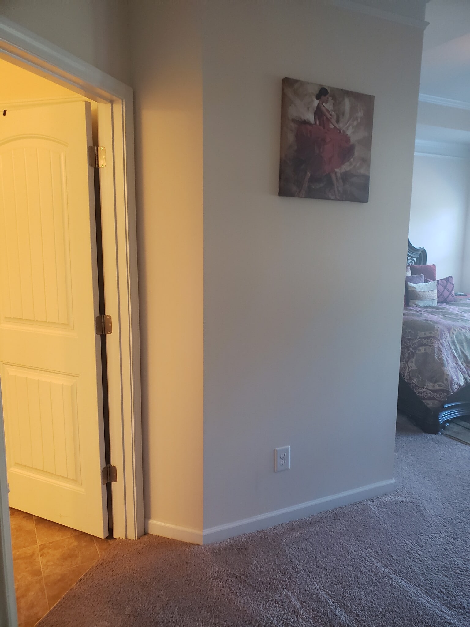 Master Bedroom Entry - 263 COOLWATER LN