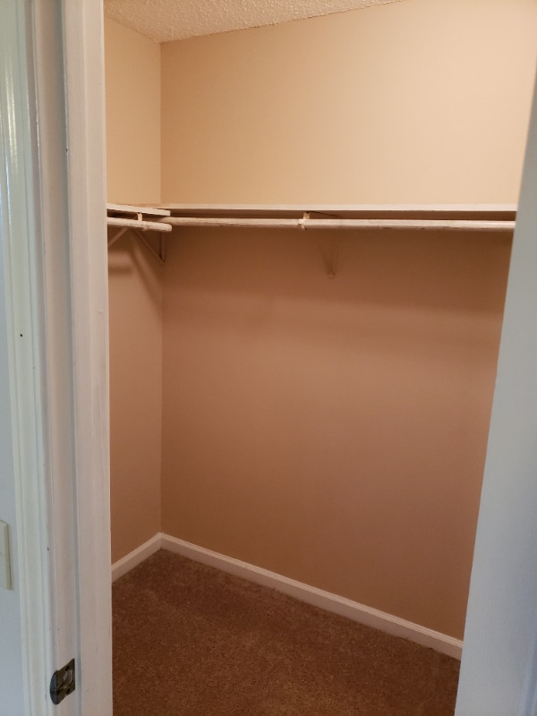 Building Photo - 153 Candlebrook Dr