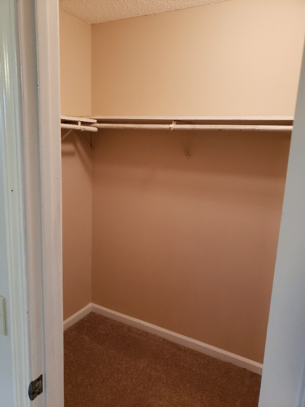 Building Photo - 155 Candlebrook Dr