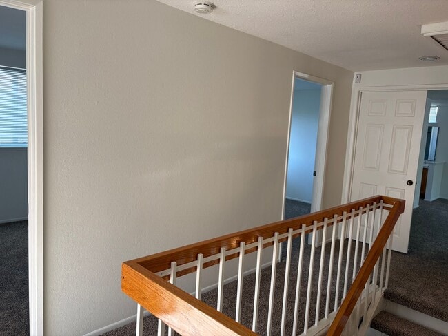 Building Photo - Spacious 5 bedroom 2 1/2 bathroom Westpark...