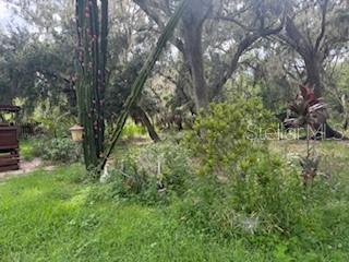 Building Photo - 4704 Bear Claw Ct