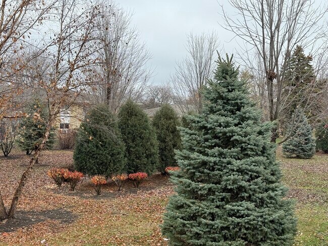 Building Photo - 5725 Holmes Ave