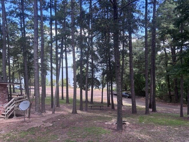Building Photo - 509 Tejas Rd
