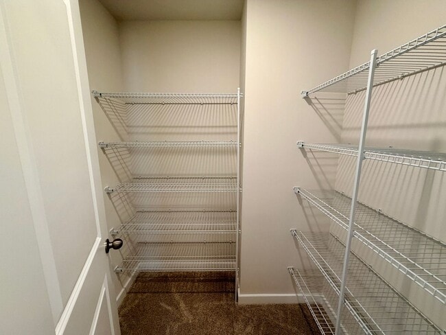 Building Photo - Brand New 4BR/3BA Home in Blue Sky Meadows