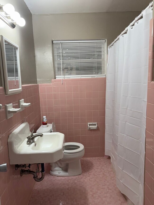 Building Photo - Duplex near Levy Park