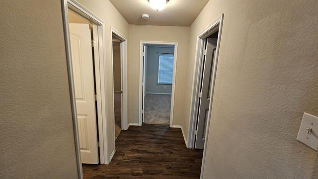 Building Photo - 2117 Shady Glen Trail