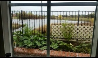 Building Photo - 8113 Laguna Brook Way