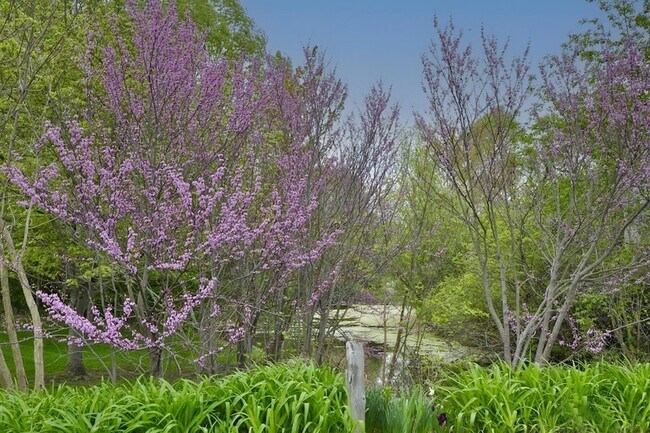 Building Photo - 609 Watersedge Dr