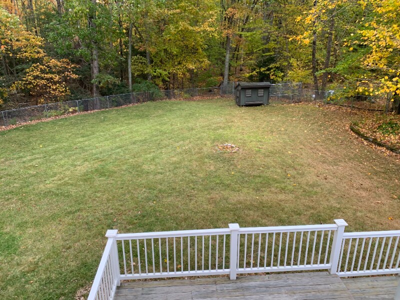 Building Photo - 161 Albion Rd