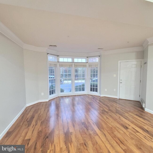 Primary Photo - 3681 Spring Hollow Ln