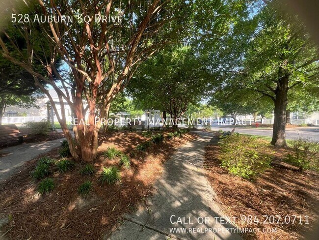 Building Photo - 528 Auburn Square Dr