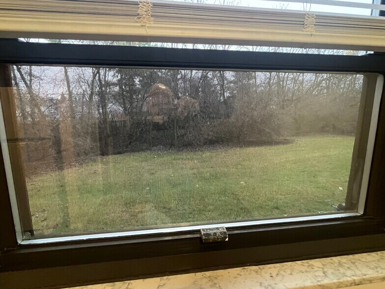 View of backyard from dining area - 2951 Columbus St