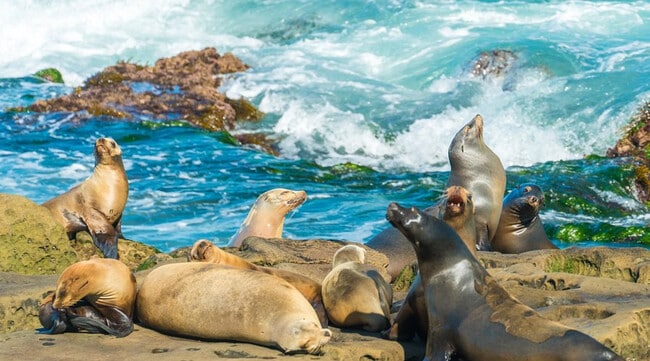 Building Photo - 6421 Carthage St