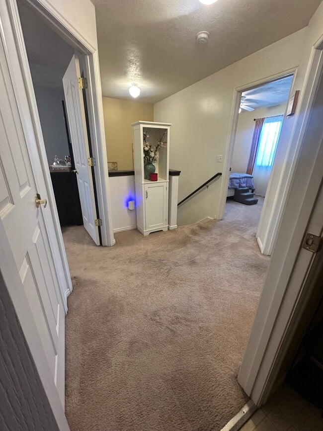 Building Photo - 3718 Raphael Ct