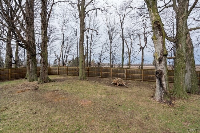 Building Photo - 117 MillCreek Ln