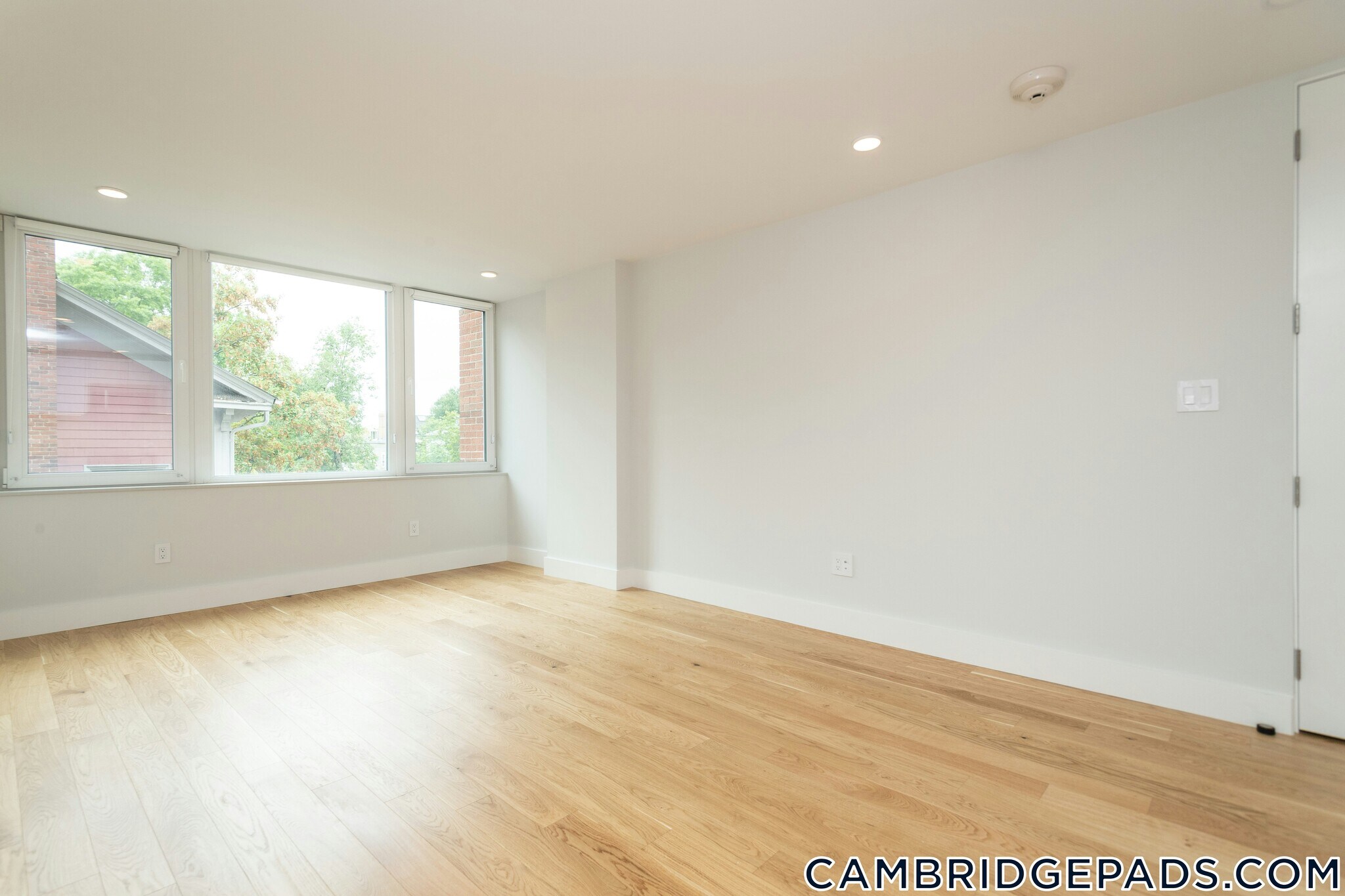 Building Photo - 334 Harvard St