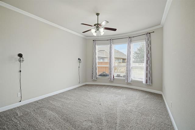 Building Photo - 513 Mistflower Springs Dr