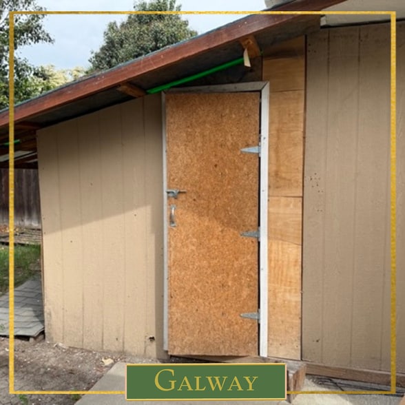 Building Photo - 355 Nature Dr