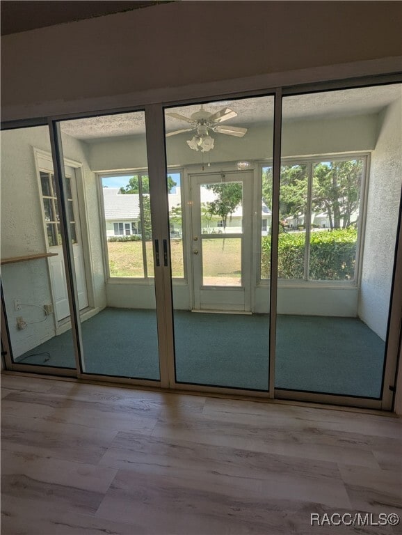 Building Photo - 806 Windermere Blvd