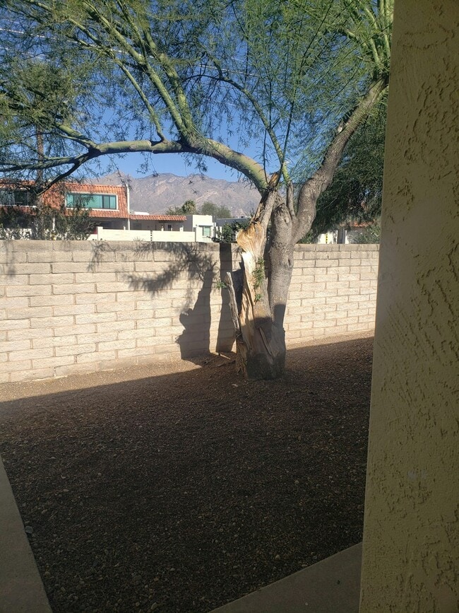 Building Photo - 3560 N Tucson Blvd