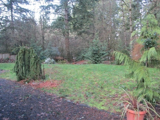 Building Photo - Large one level home with secluded backyar...