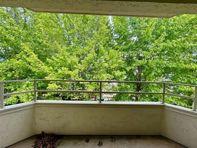 Building Photo - North Capitol Hill Condo