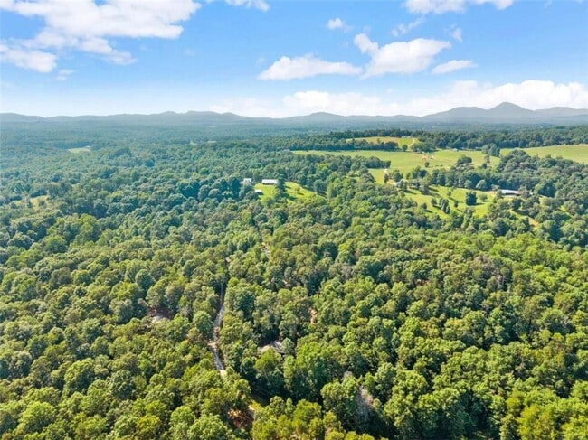 Building Photo - 309 Fowler Creek Dr