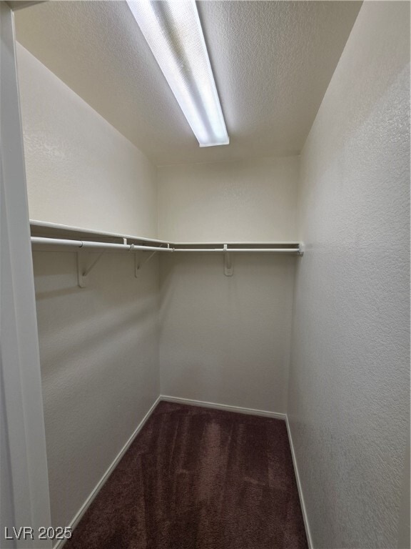 Building Photo - 1083 Sterling Peak St