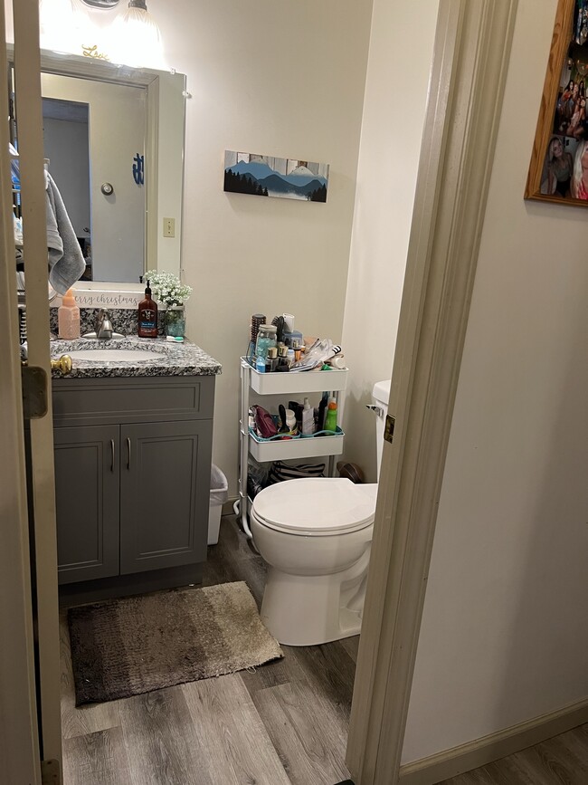 Downstairs bathroom - 407 Sharon Ave