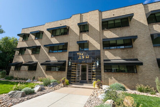 Building Photo - The Ash