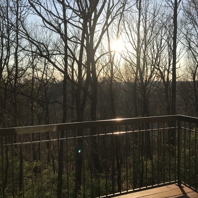 View from the balcony/sunset - 320 Old Hickory Blvd