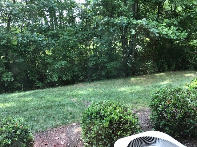 Outside view - 604 Bristol Village Dr