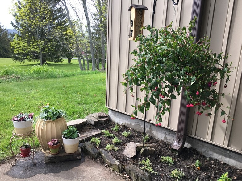 Patio - 1051 Danby Rd
